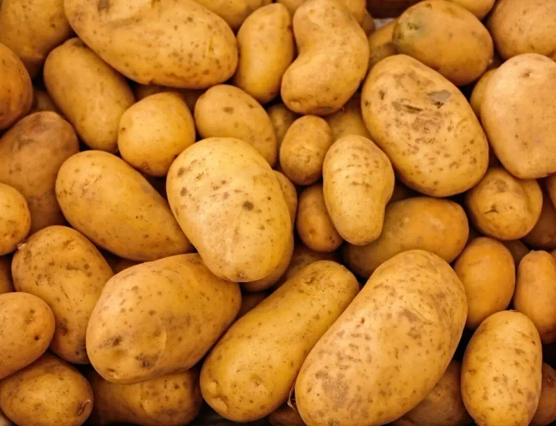 Patatas y productos a base de patata